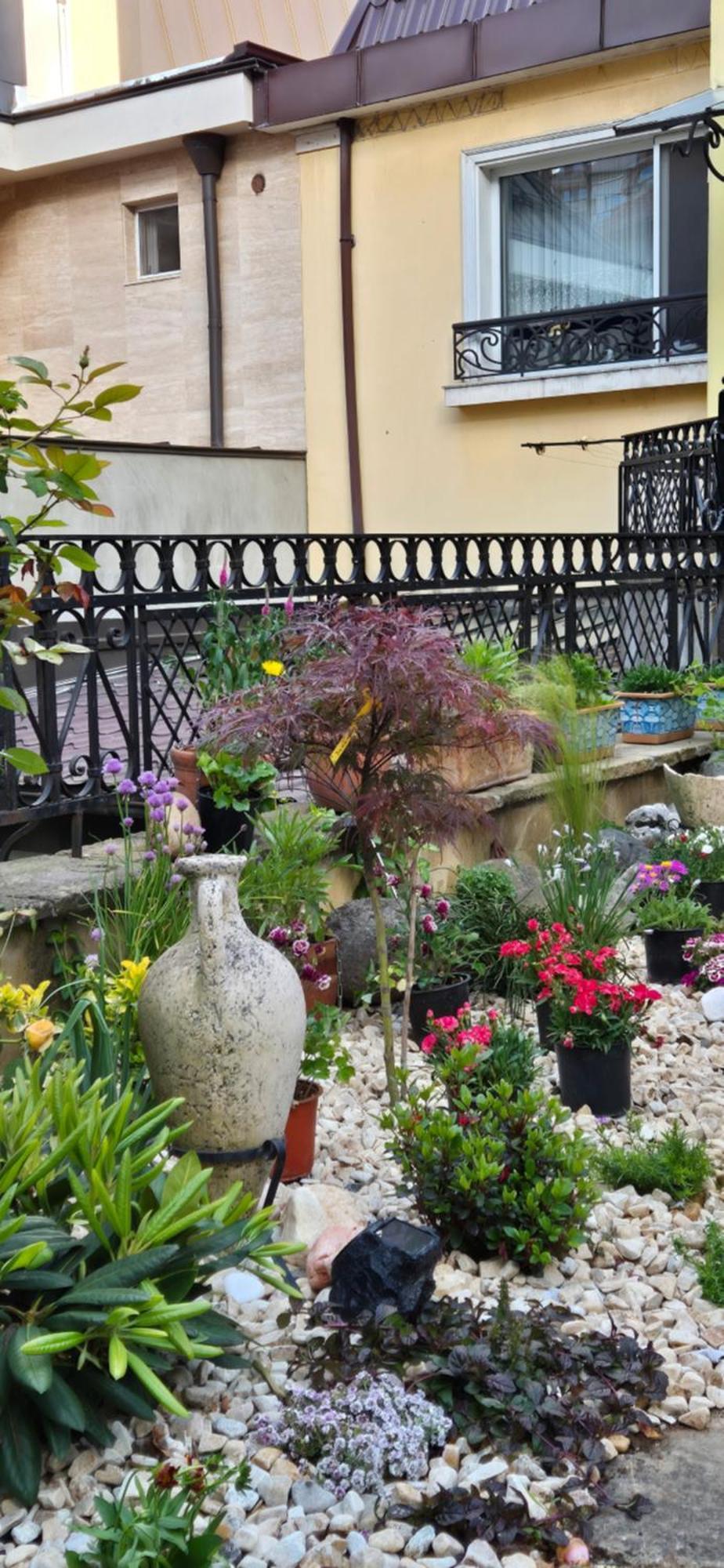 Luxury Private House In City Center Βελίκο Τίρνοβο Δωμάτιο φωτογραφία